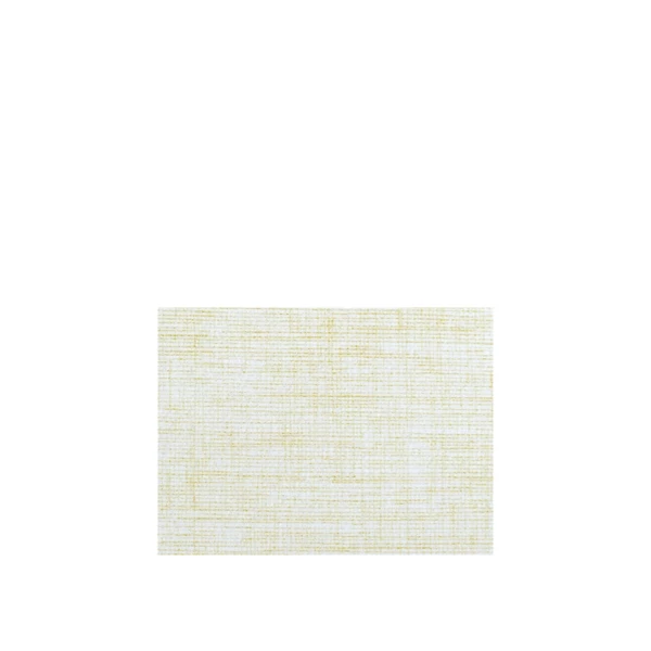 TVSR40GCH.jpg Platzset aus Spunlace Easy, Farbe Champagne, 40x30cm - 500Stk | Amonn