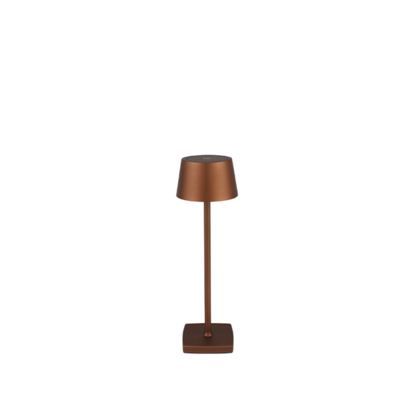 Tischlampe aus bronzem Aluminium | Amonn