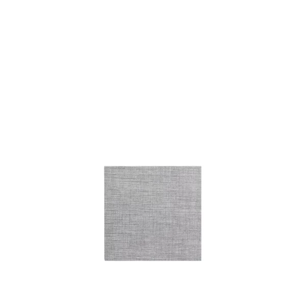    Tovagliolo in Spunlace Easy, grigio scuro, 25x25cm, piegato a 4 - 1000pz | Amonn  