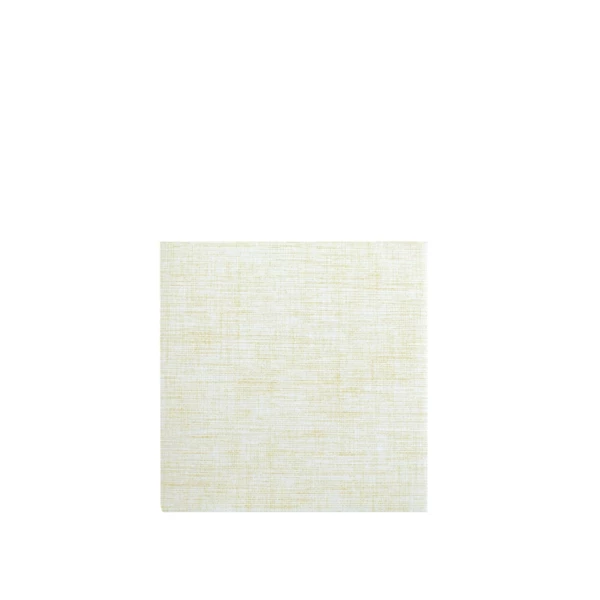 TSP40GCH.jpg Tovagliolo in Spunlace Easy, colore champagne, 40 x 40 cm, piegato a 4, confezione da 600 pz